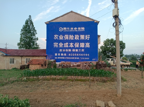 大渡口墙体广告为何受追捧？